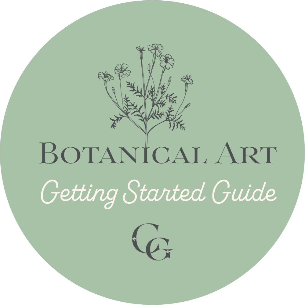 Get started with botanical art