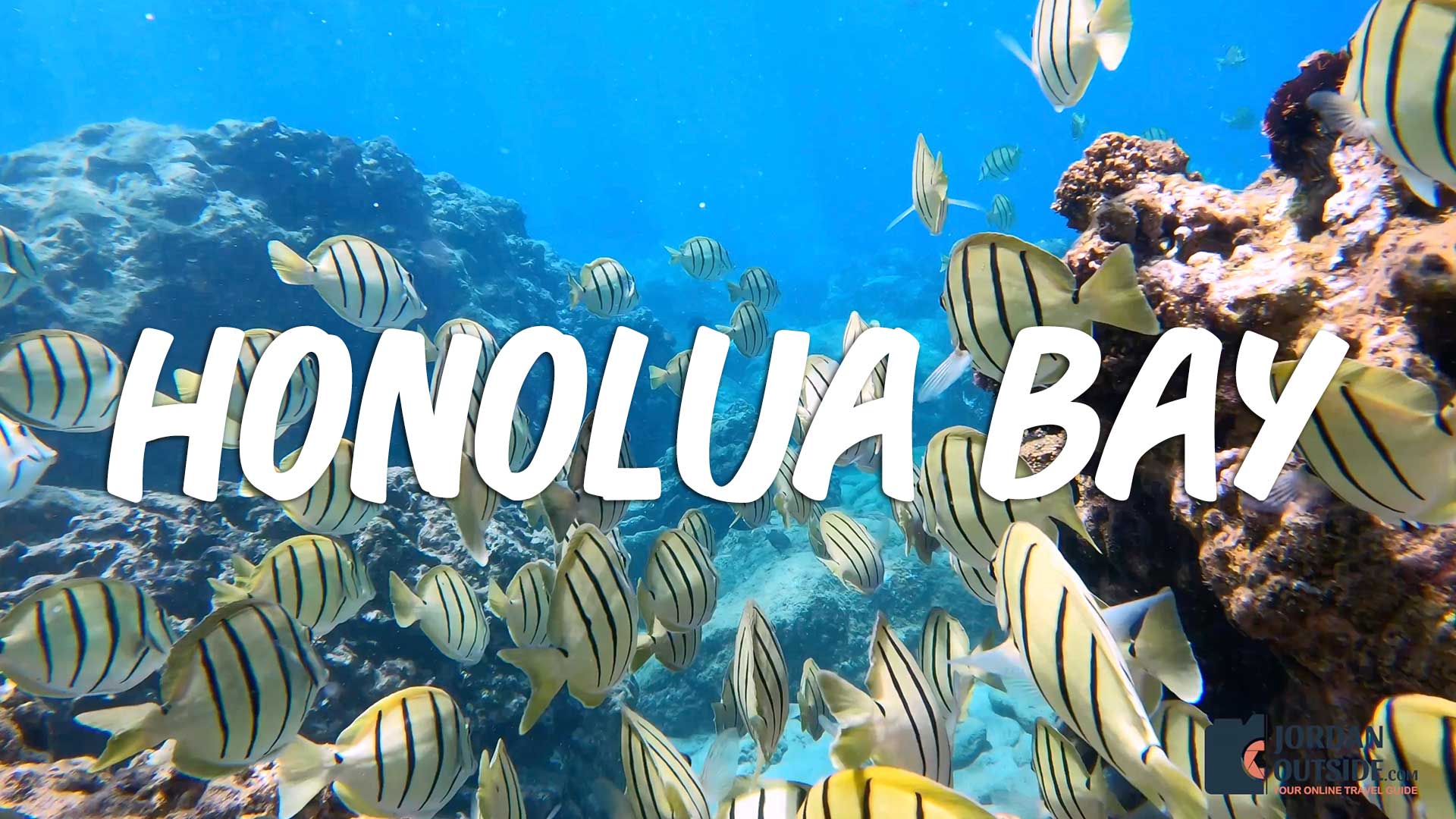 Key Largo Snorkeling