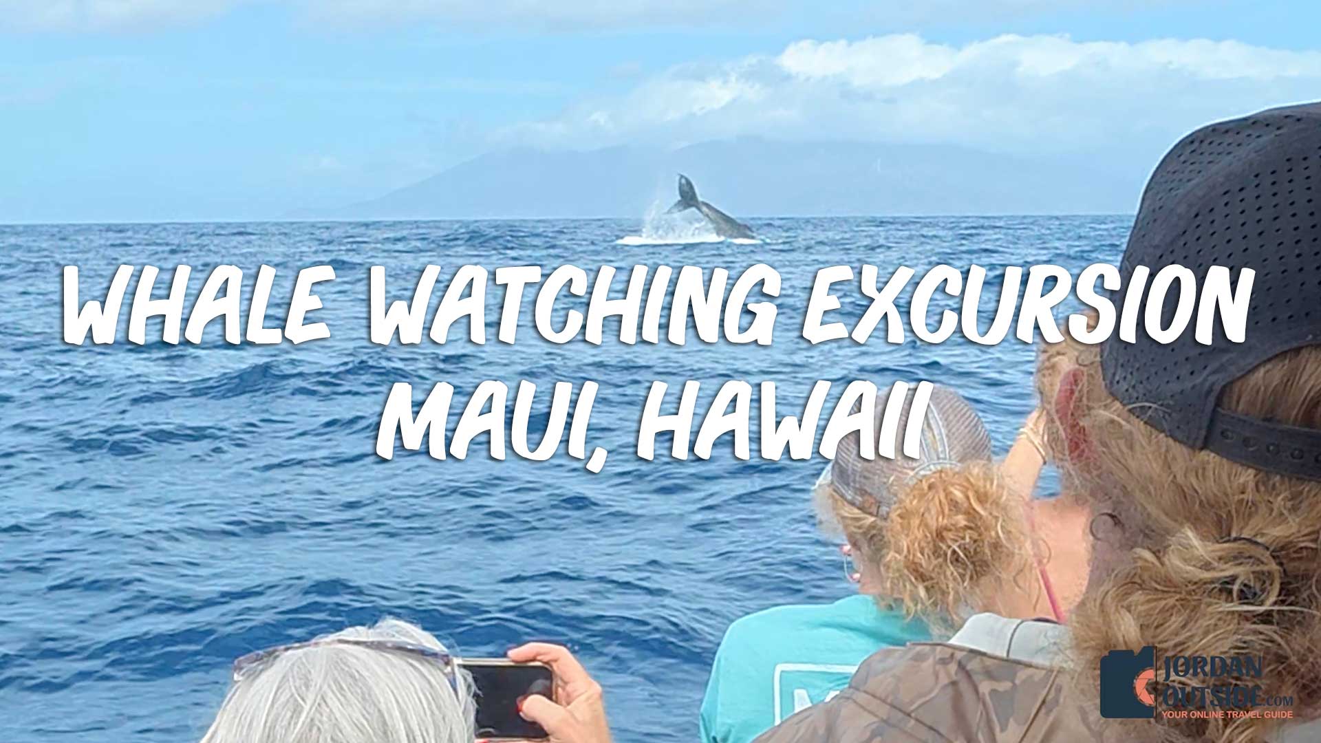 Key Largo Snorkeling