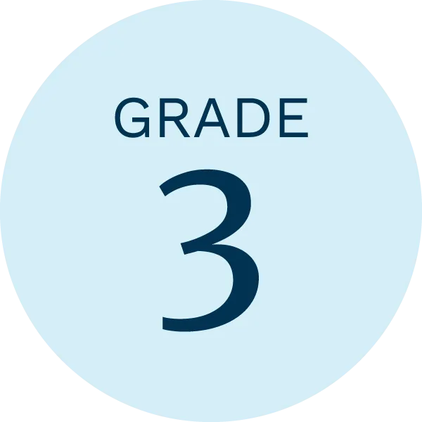 Grade 3