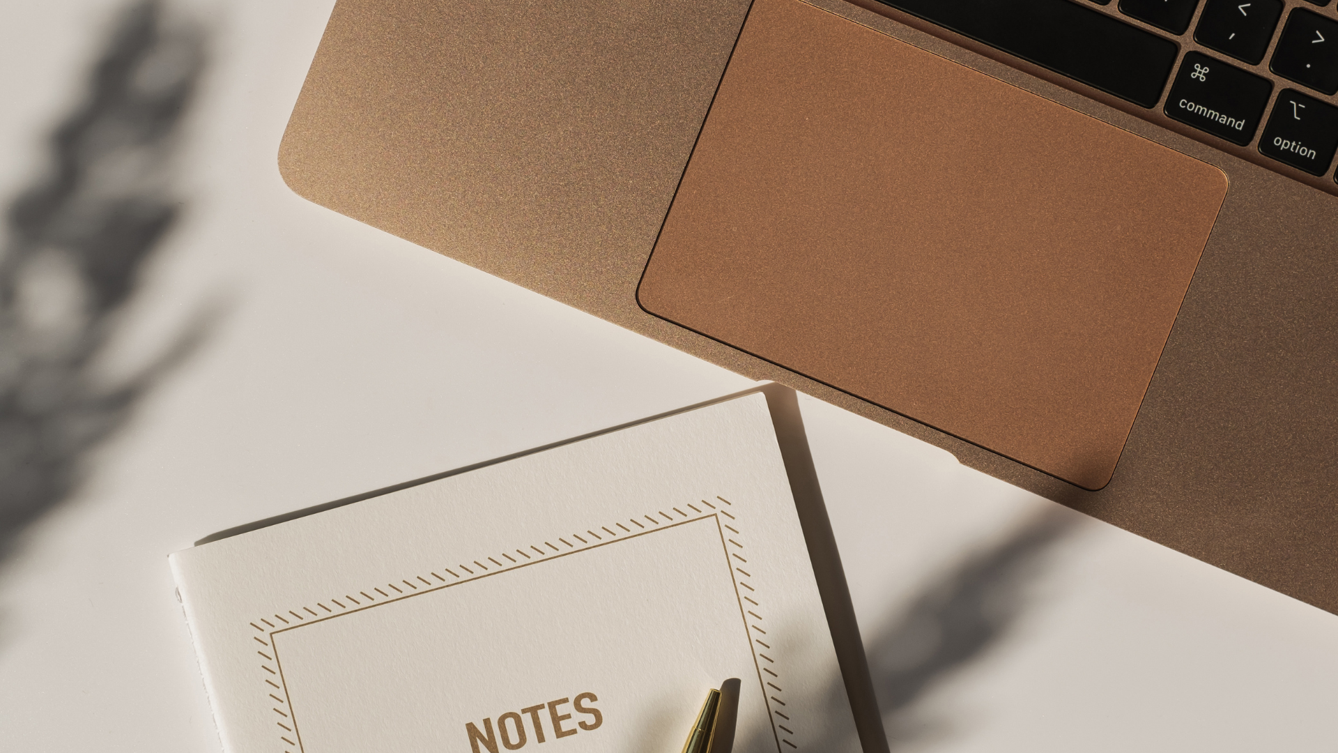 online mentorschap 1 jaar bij de opleiding tot ademcoach voor  optimale verdieping