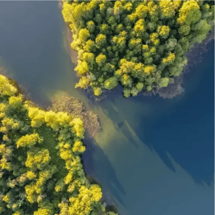 KA1 Eramsus courses in Lithuania