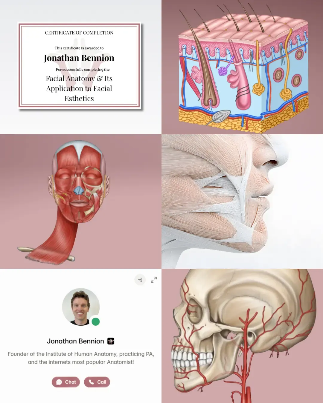 facial anatomy course online
