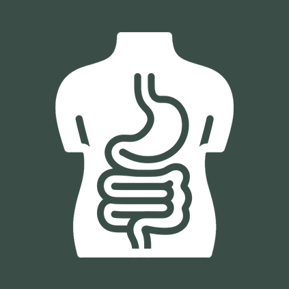 Panchakarma for IBS, acid reflux and chronic digestive disorders