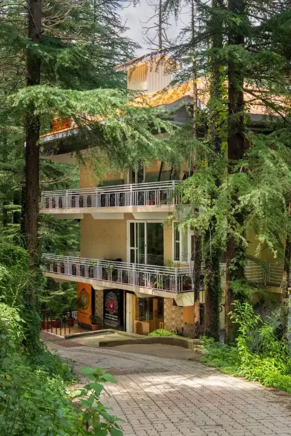 Experience Panchakarma in the Himalayan Sanctuary