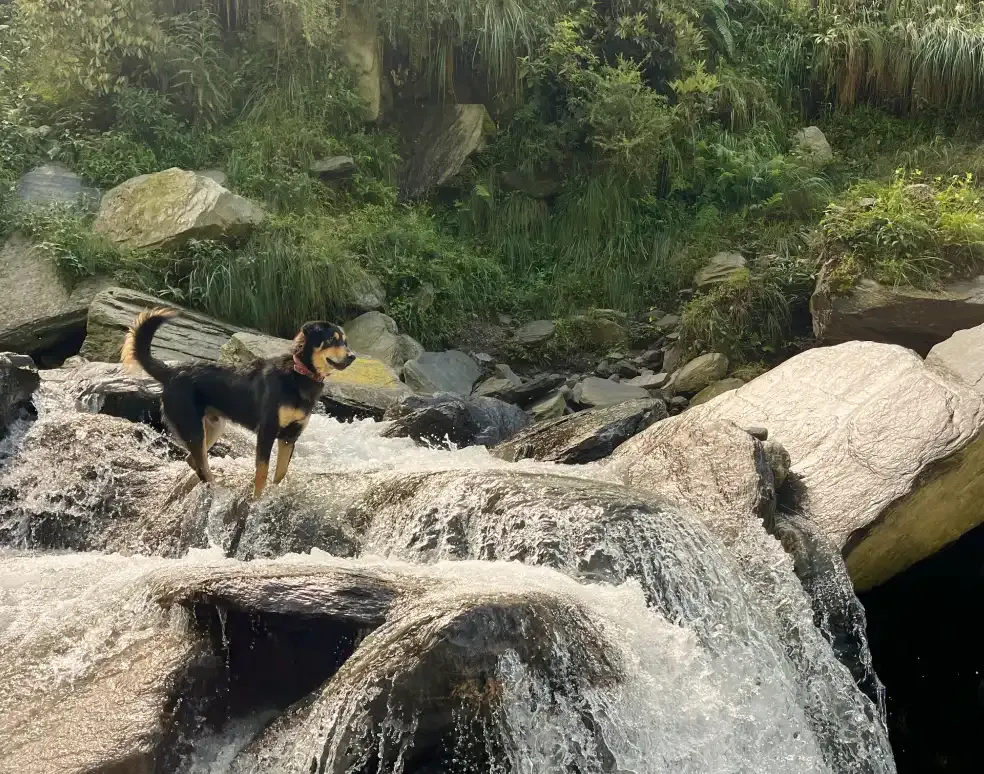 A Sanctuary for Rejuvenation