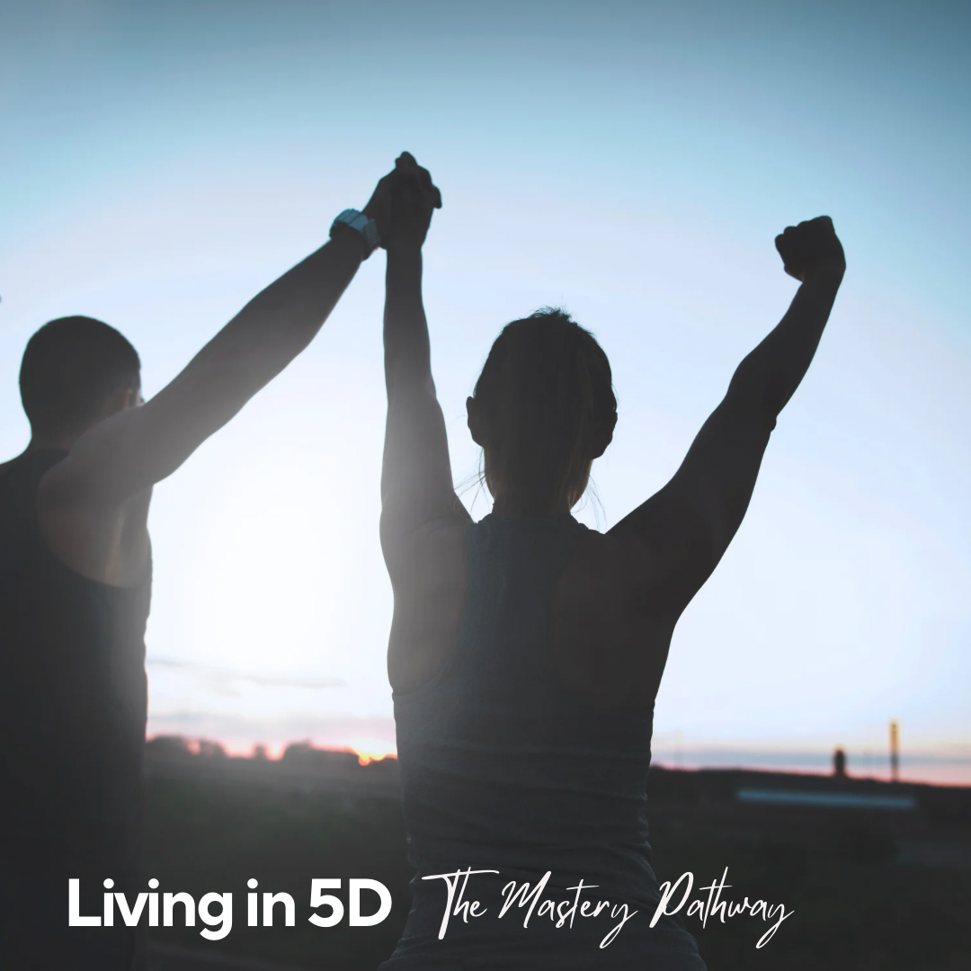 5th Dimensional Tools , reclaim your joy 