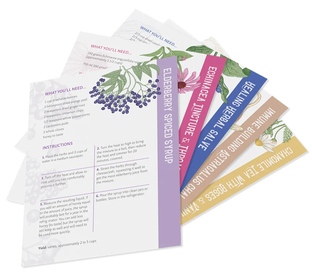 Herbal Preparation Cards