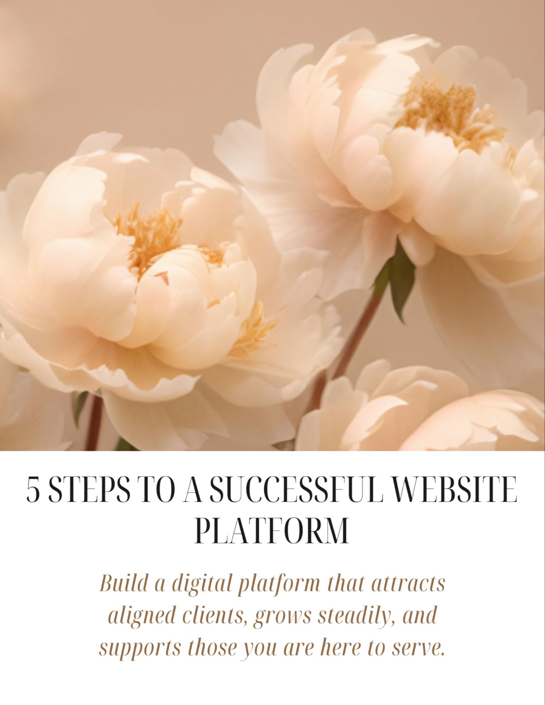 Free guide: 5 Steps to a Woman-Centered Kajabi Business by Beth Schindele – Find Your North Star. Strategic, beautiful, and aligned Kajabi platform design.