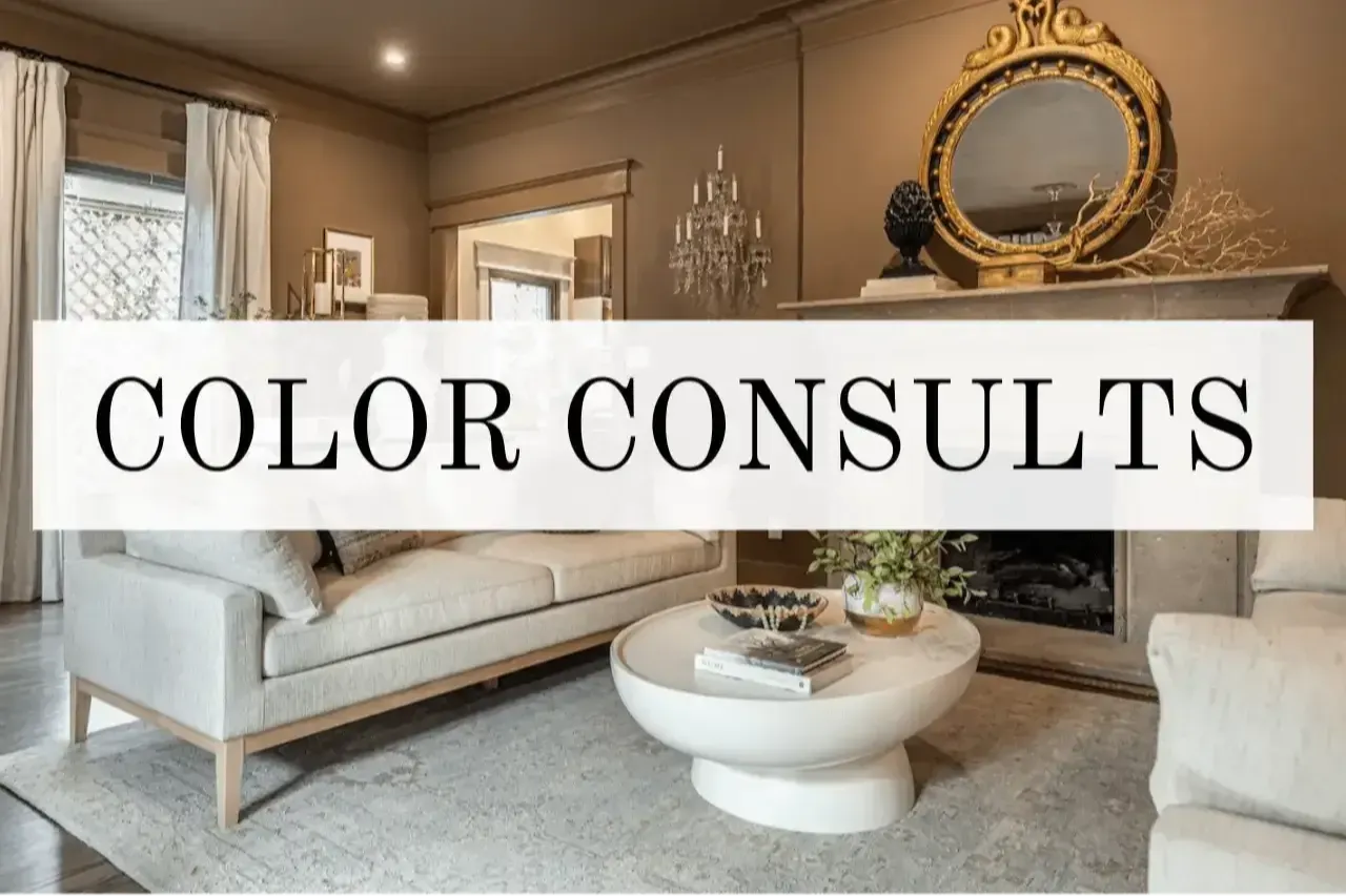 san antonio paint color consultant brown color drenched living room