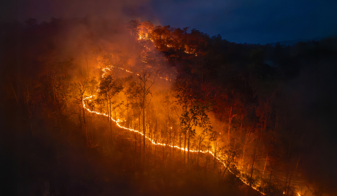 A drone image of kayakers paddling a river within a protected forest.