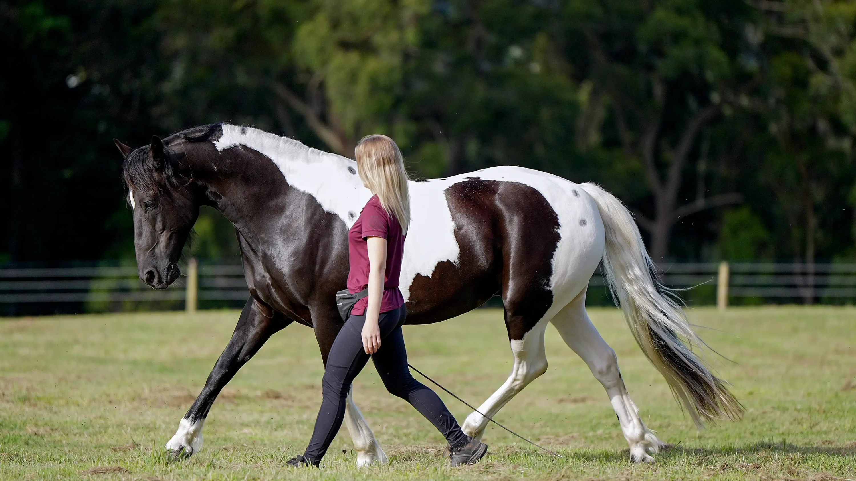 Nadine walking in step beside a black and white paint horse at liberty in a green paddock, trees behind
