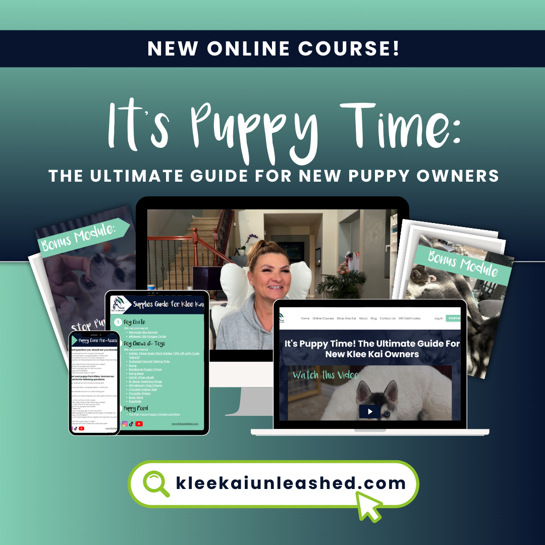 Alaskan Klee Kai Training Course "It's Puppy Time: The Ultimate Guide for New Puppy Owners"