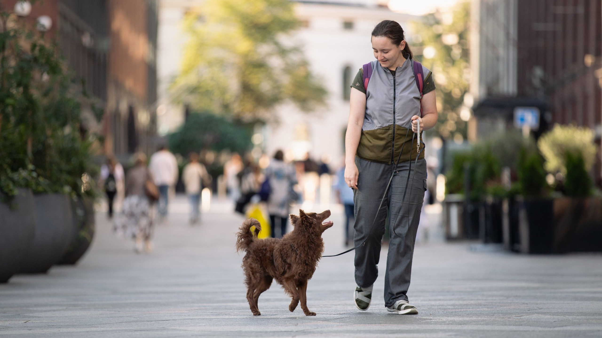 Tutustu Reaktiivisuuspakettiin tästä