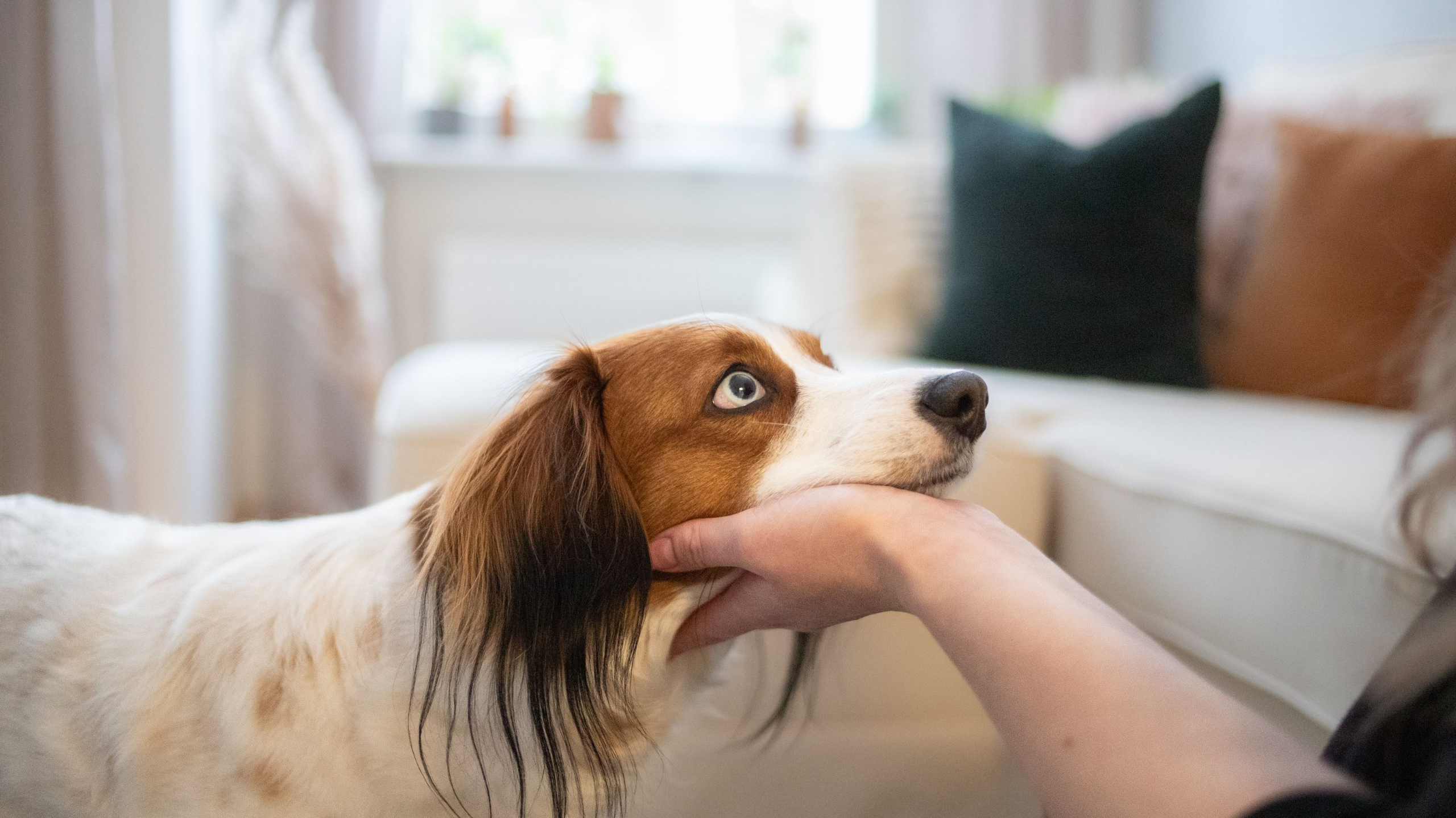 Susan Friedmanin luento