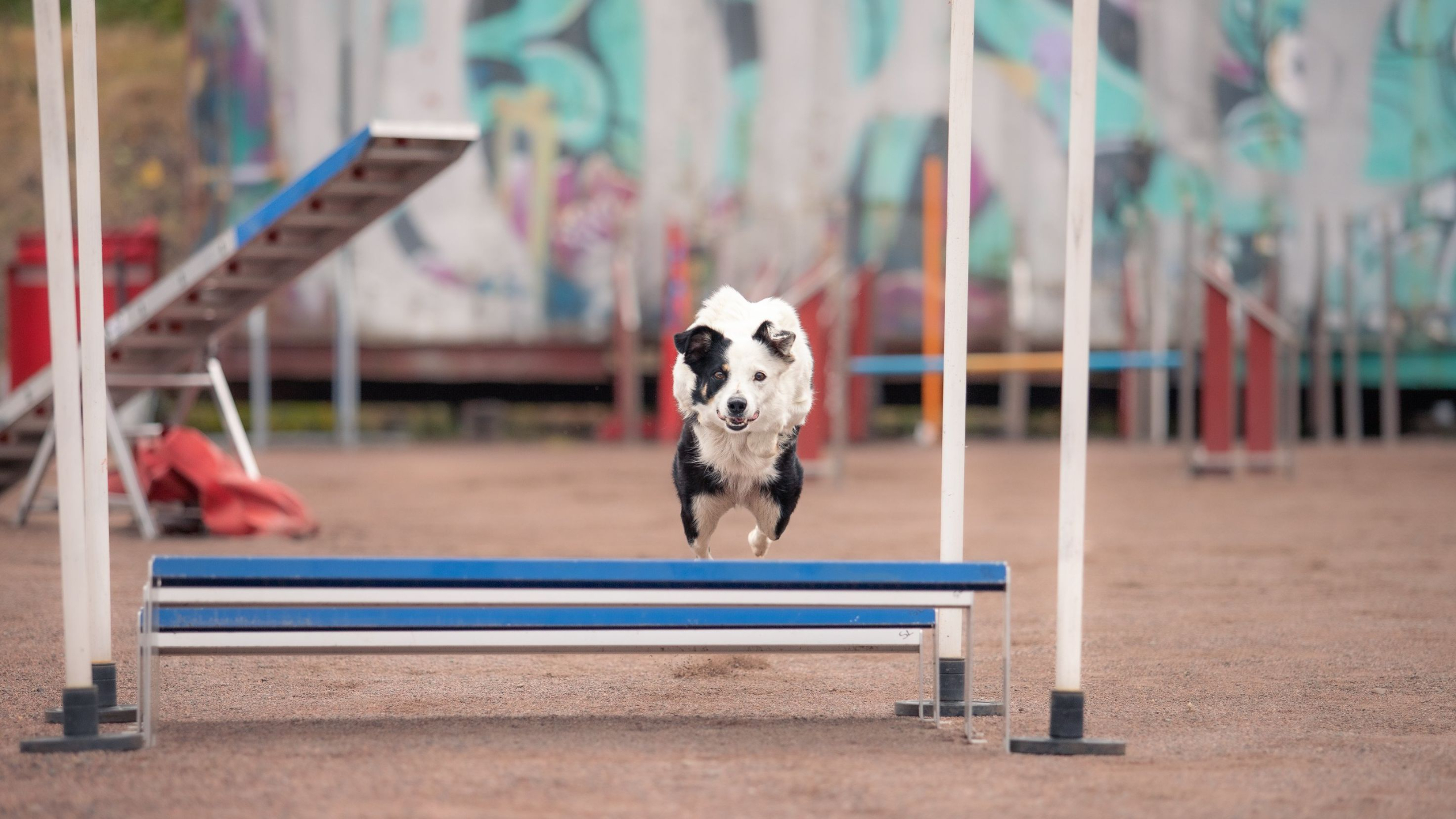 Kestävä agility