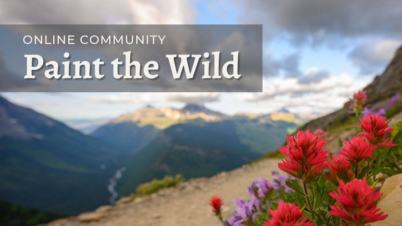 Paint the Wild Online Artist Community