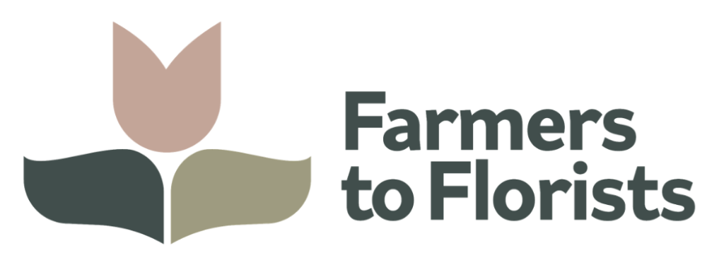 Footer Logo