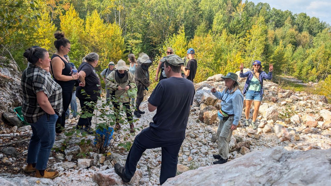 group of people volunteering for an event in the forest