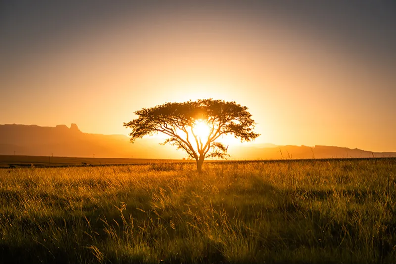 New Zealand Beyond 2026