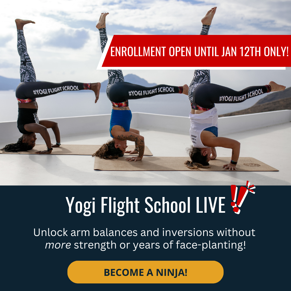 Yogi Flight School Live