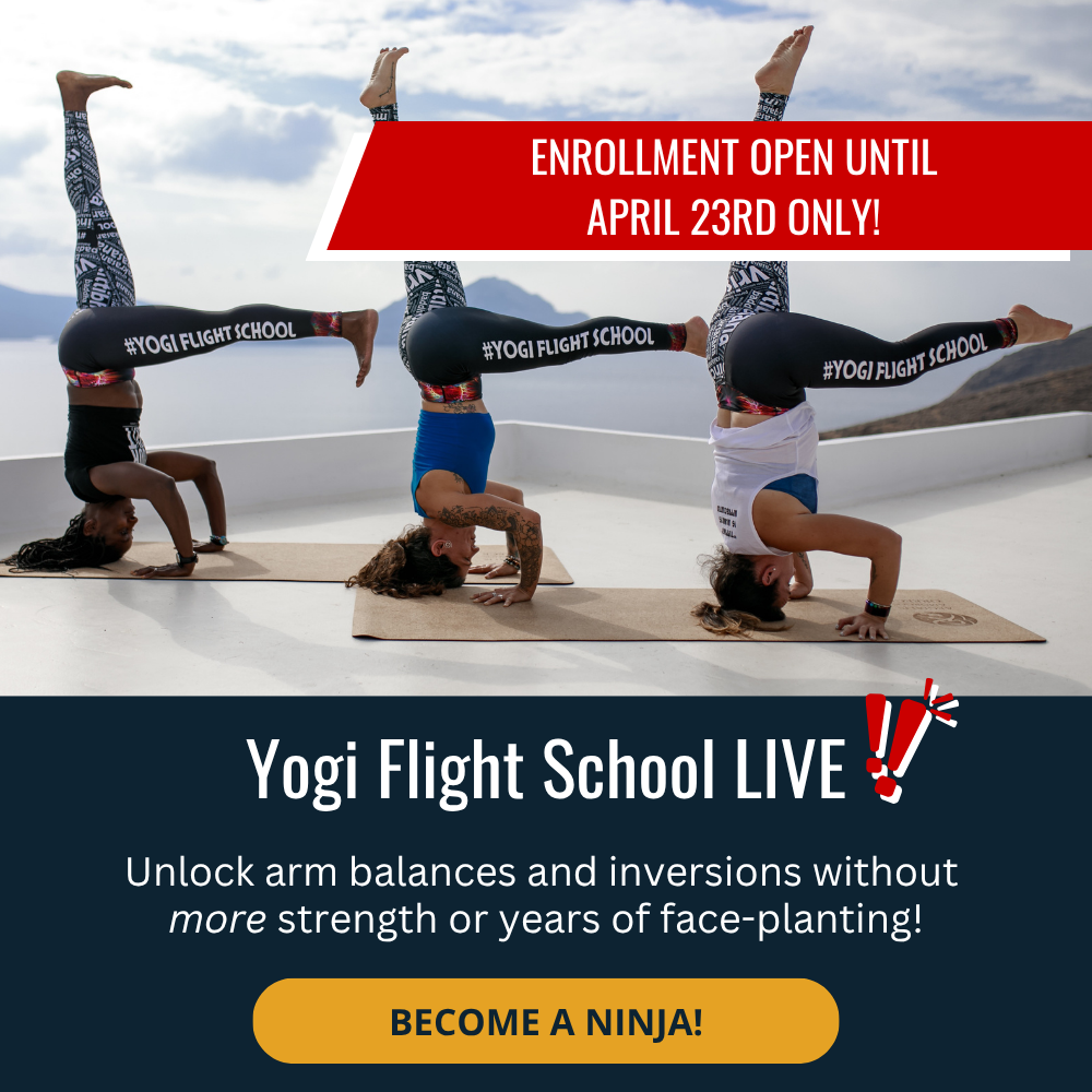 Yogi Flight School Live