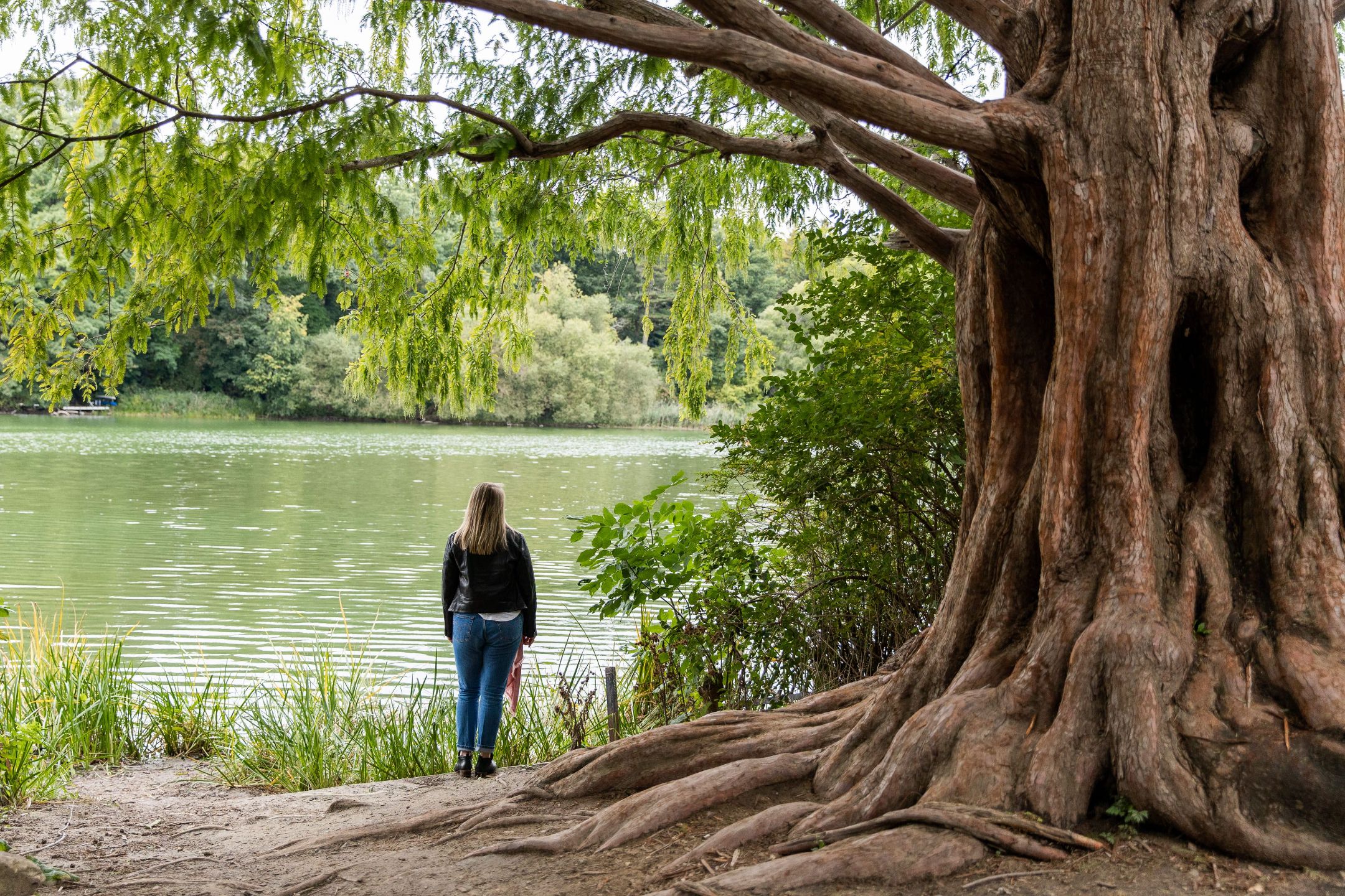 Deep-dive coaching with Andrea Tessier