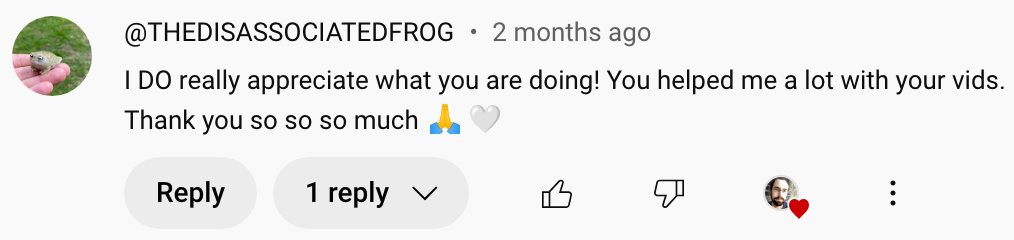 The Freedom Course - DPDR and anxiety recovery