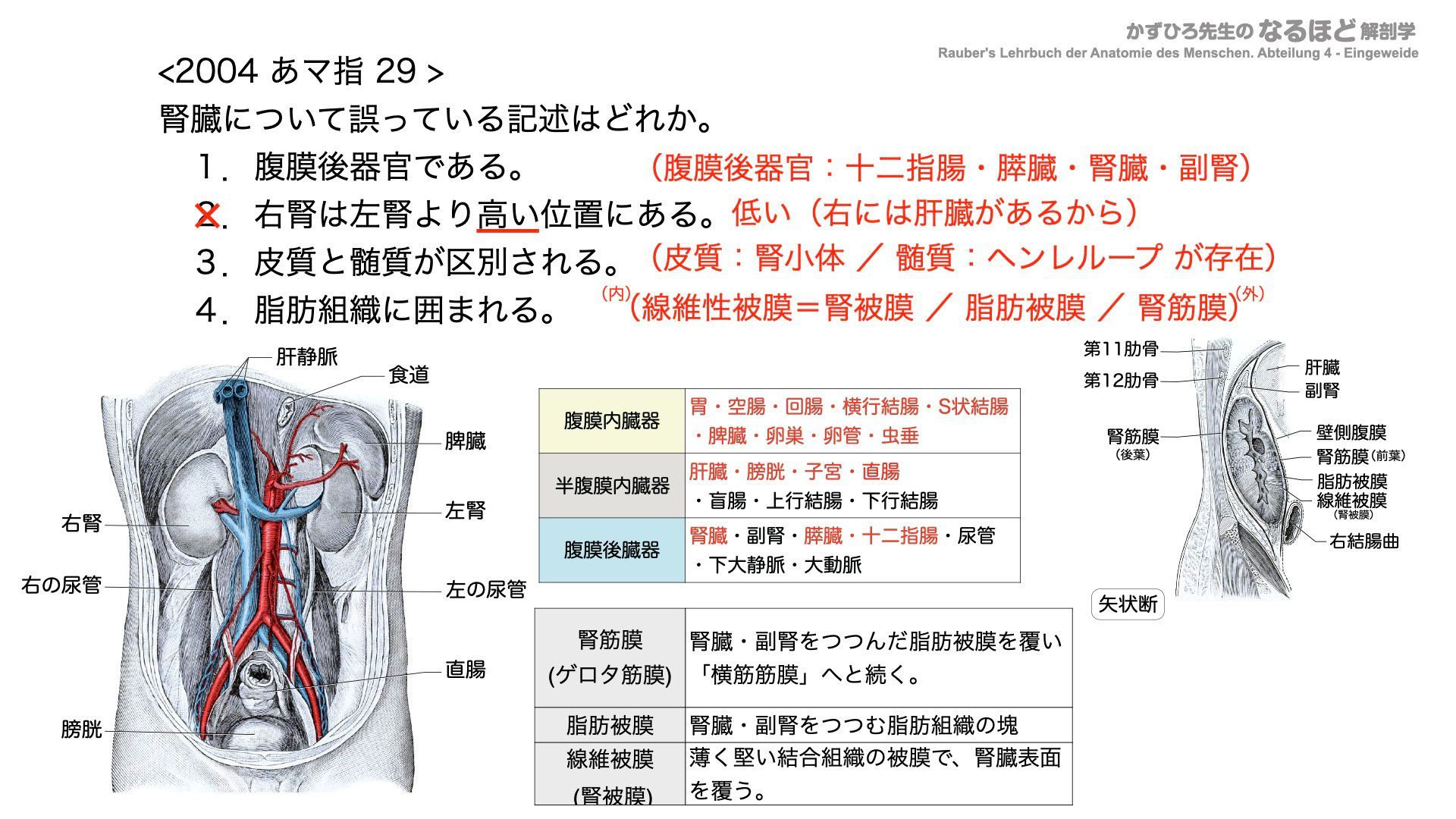 国試問題スライド