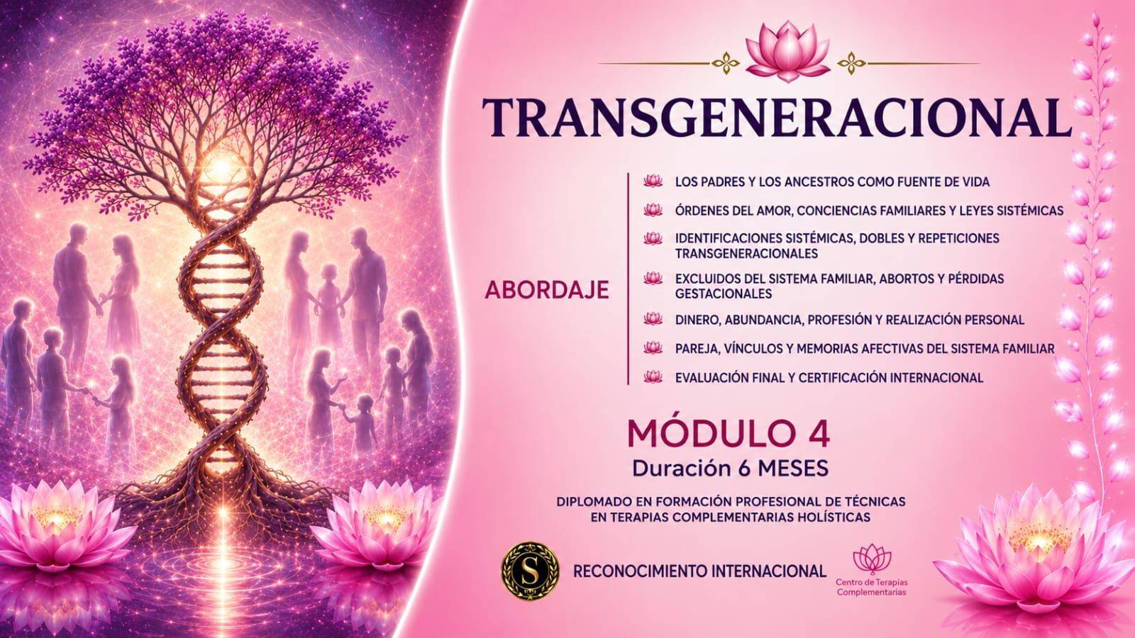 Transgeneracional - Módulo 4