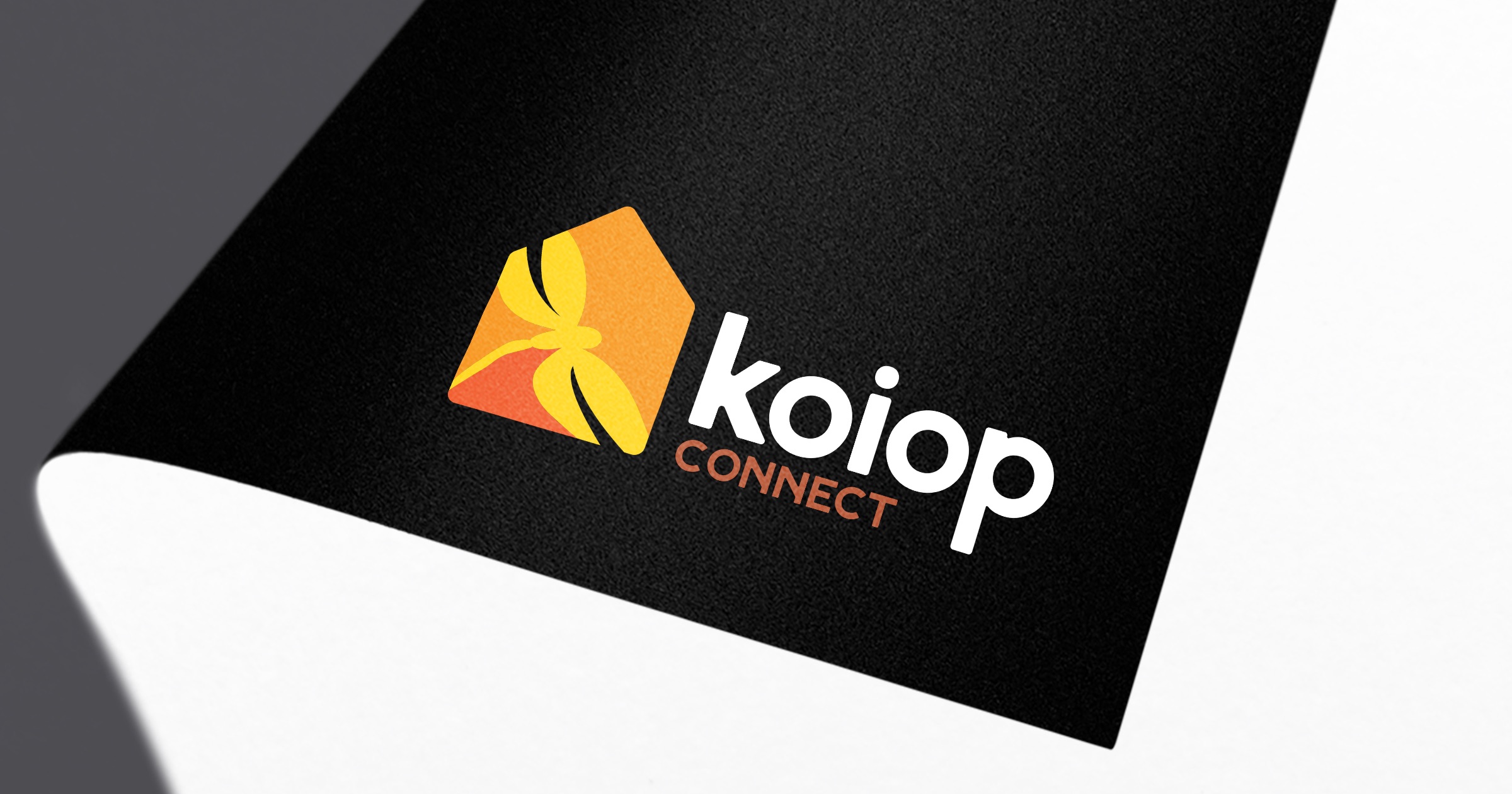 Donna Gunn DL Flyer, Business Card and Letterhead Design