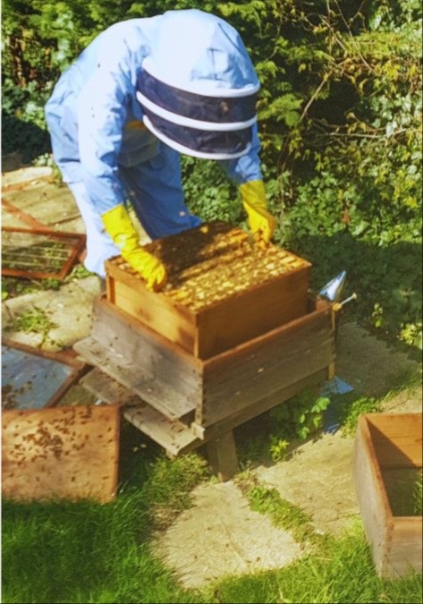 Core Strength Pilates member Linda enjoying beekeeping and an active lifestyle.