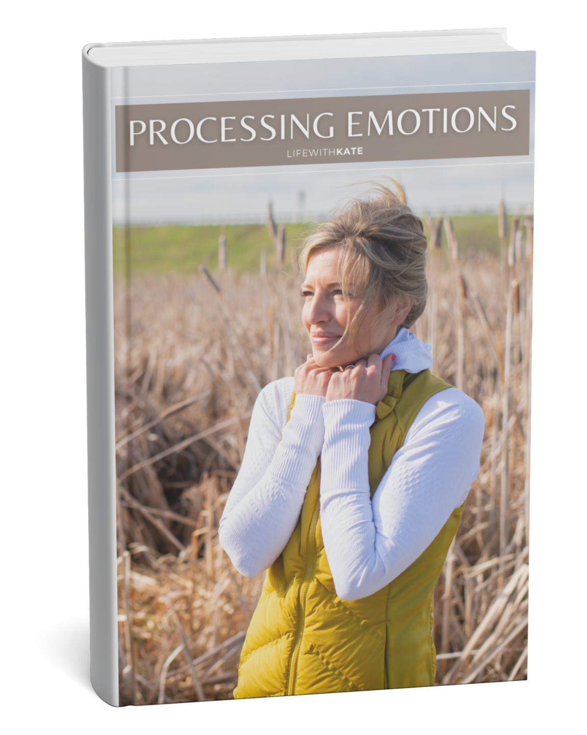 nervous_system_stress hormones_and_metabolism 