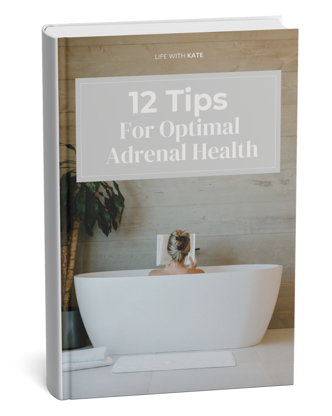 detox_and_nutrition hormones_and_metabolism