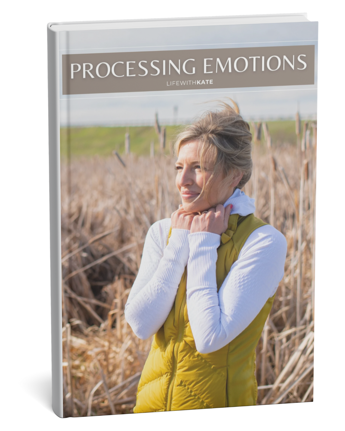 ProcessingEmotionsGuidebook