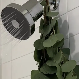 showerhead