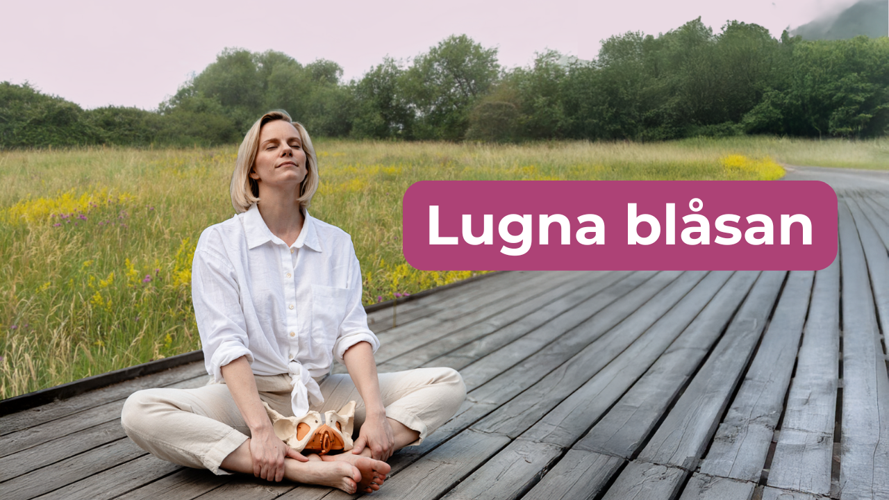 Frida Trönnberg sitter på yogamatta framför en laptop med en bäckenmodell bredvid sig – undervisar online om spänd bäckenbotten, vulvodyni, underlivssmärta och nervsystemets roll i läkning.