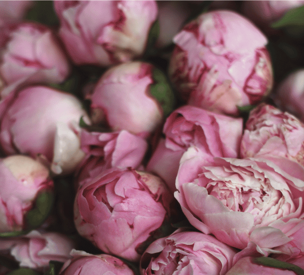 Work with Jennifer Arnspiger body writing Highly Sensitive Healing 1:1 somatic trauma coach