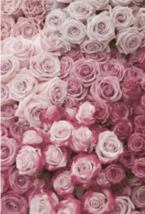 A close-up of a handwritten Body Writing™ journal page with a blue Pilot pen, representing the visceral prose and somatic release of Jennifer's method