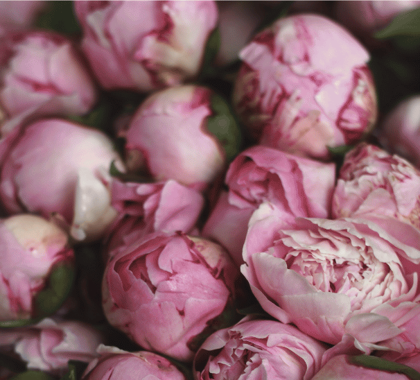 Work with Jennifer Arnspiger body writing Highly Sensitive Healing 1:1 somatic trauma coach