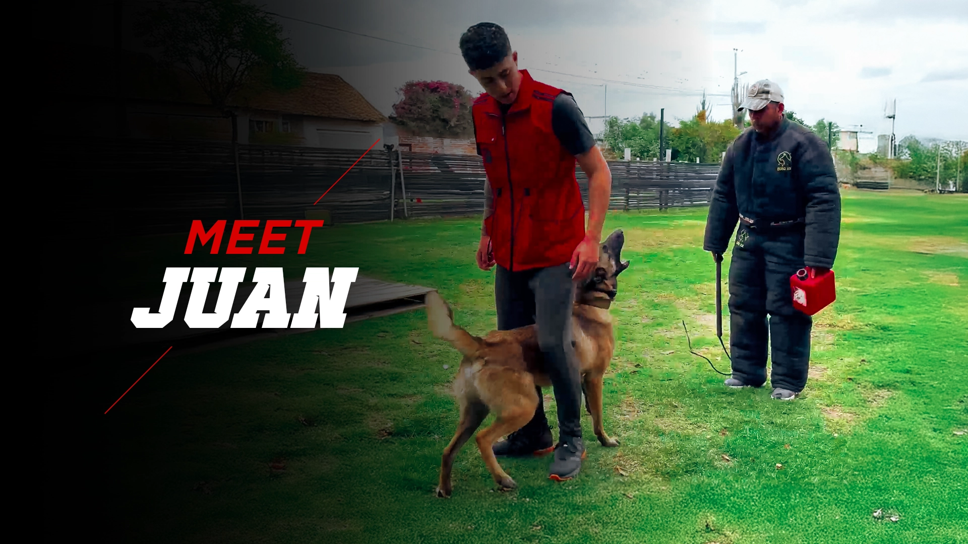 How to Train a Security Dog: Expert Tips for Ultimate Protection