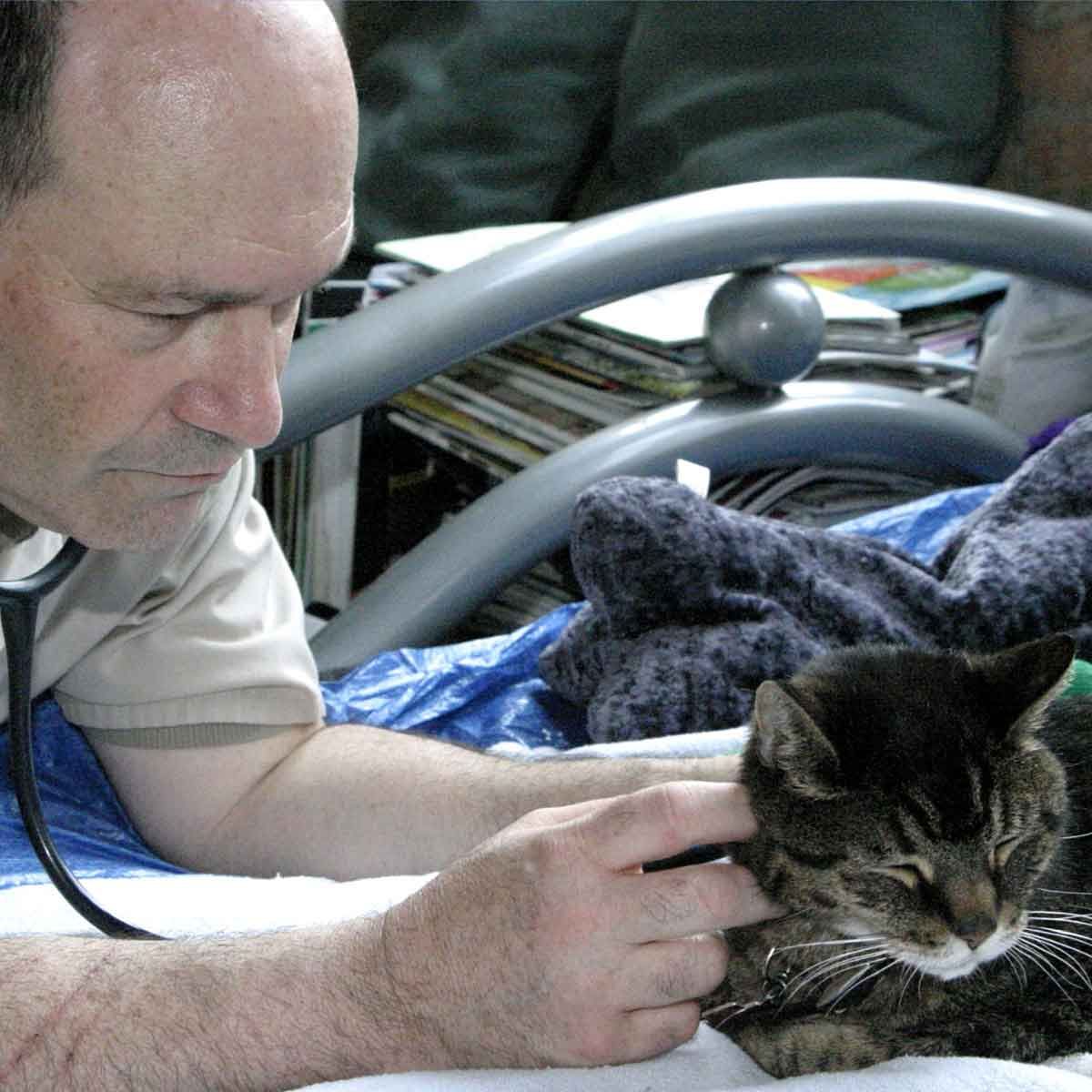 AHELP Project - Animals' Quality of Life, Dr. Amir Shanan DVM CHPV®, conducting at home hospice checkup