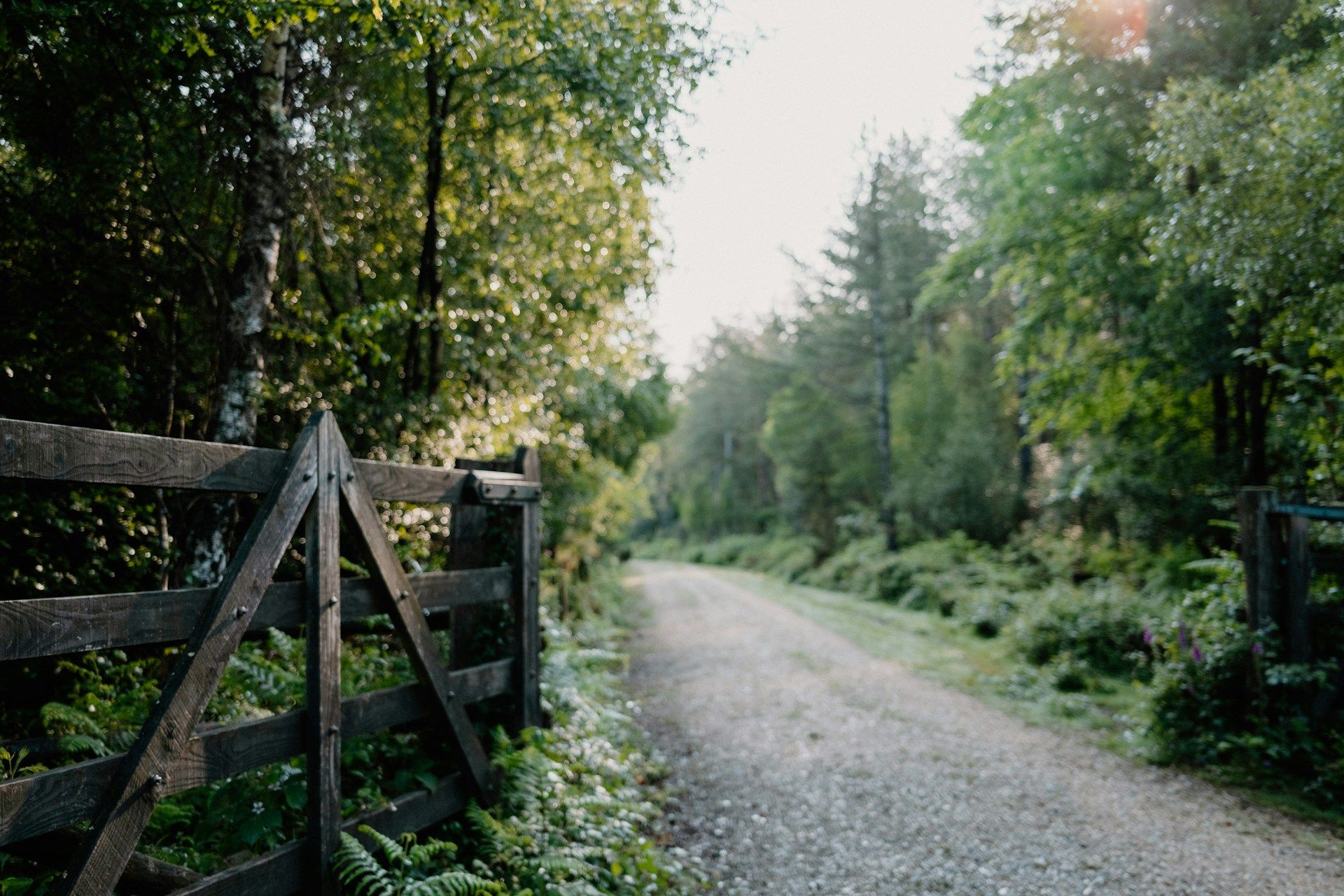 Relational EMDR Intensives in Vermont for residents of Saratoga Springs, NY, and the Capital Region seeking specialized trauma and neuro-affirming care.