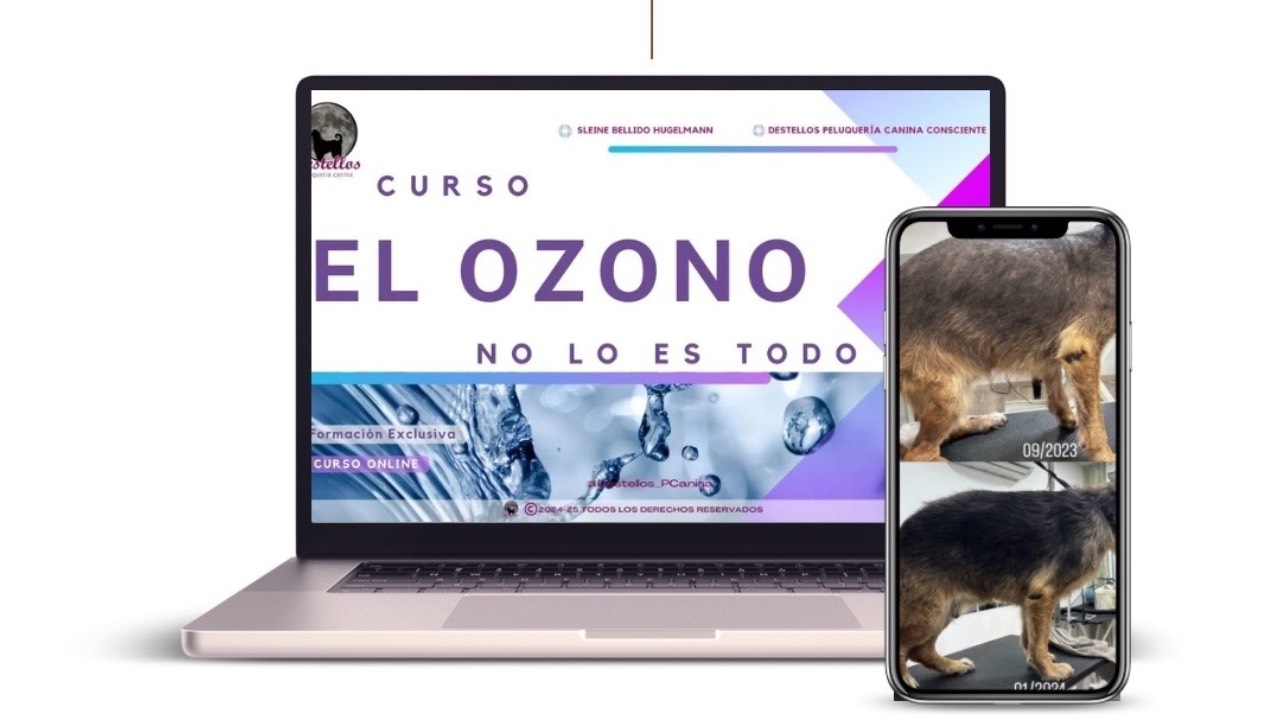 Video Poster Image
