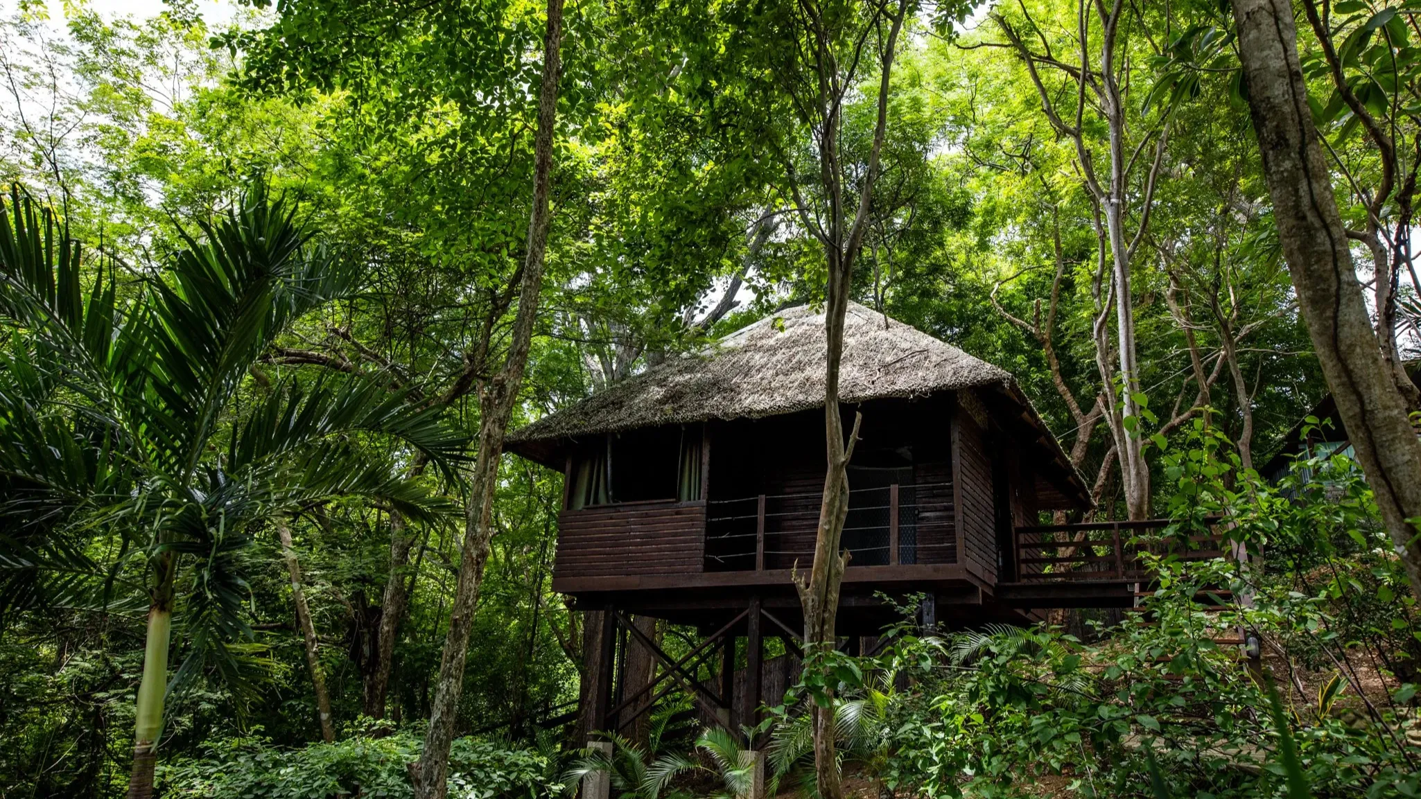 arizona yoga retreat lunch