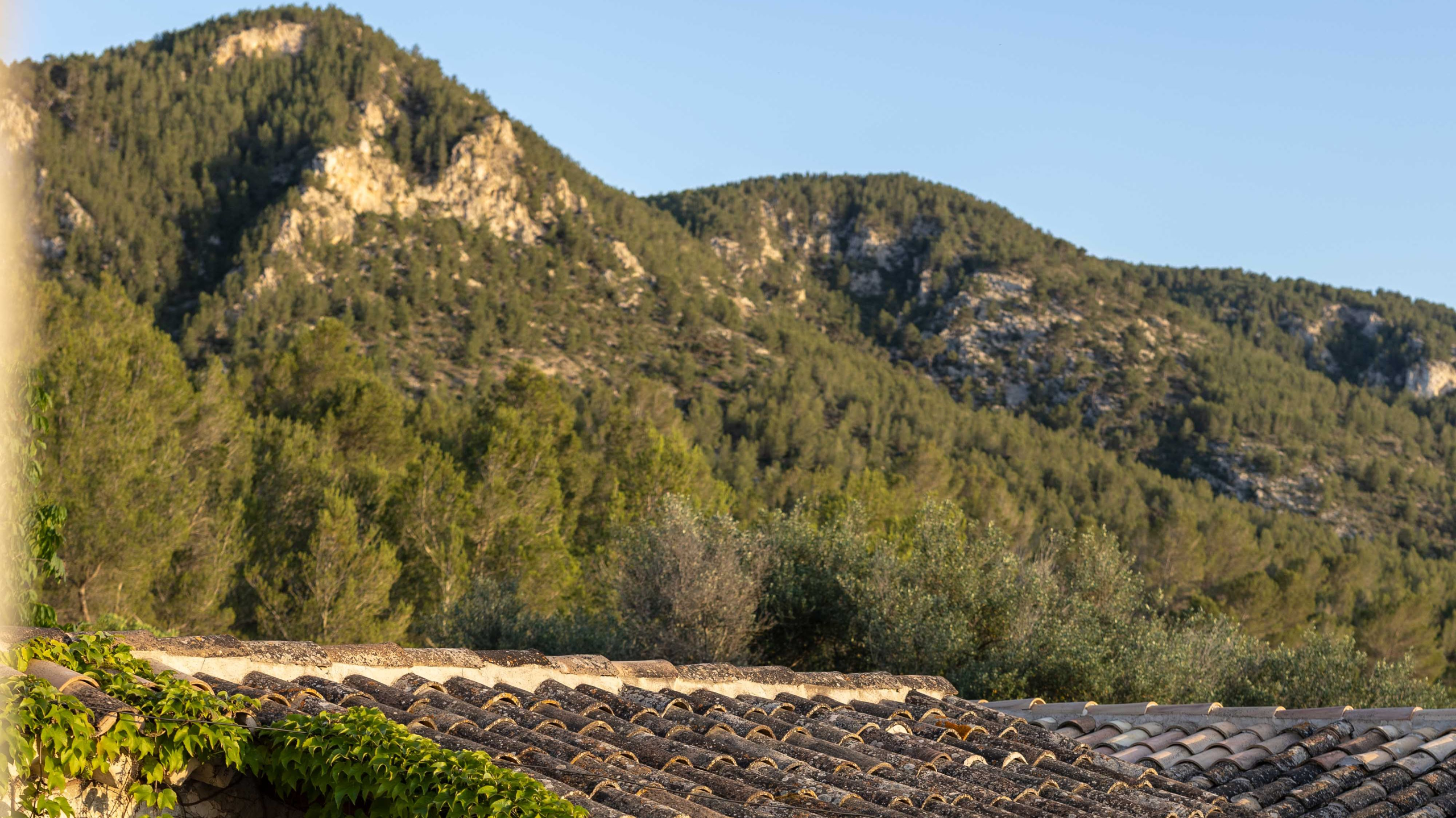spain yoga retreat with views in mallorca