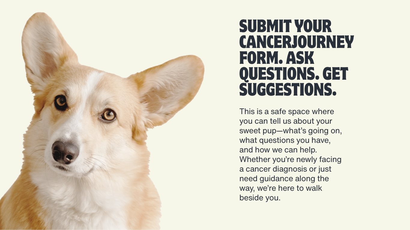 submit your eCare form for your dog with cancer