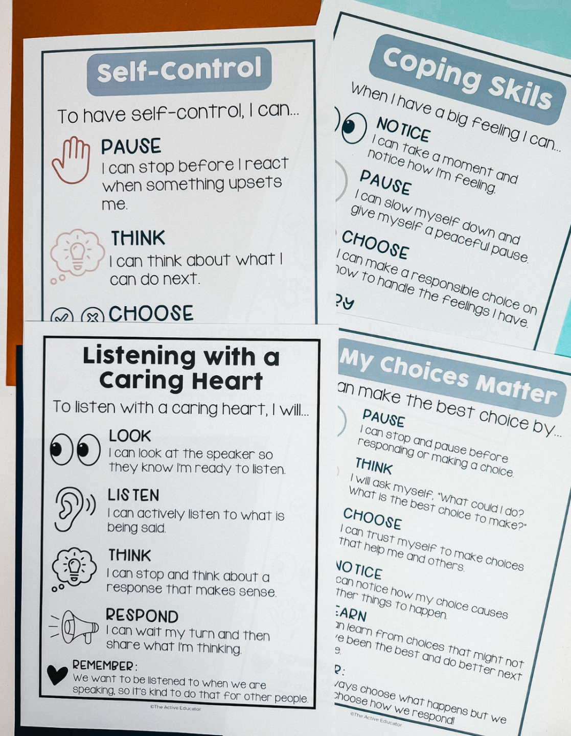 Behavior Bootcamp resource preview