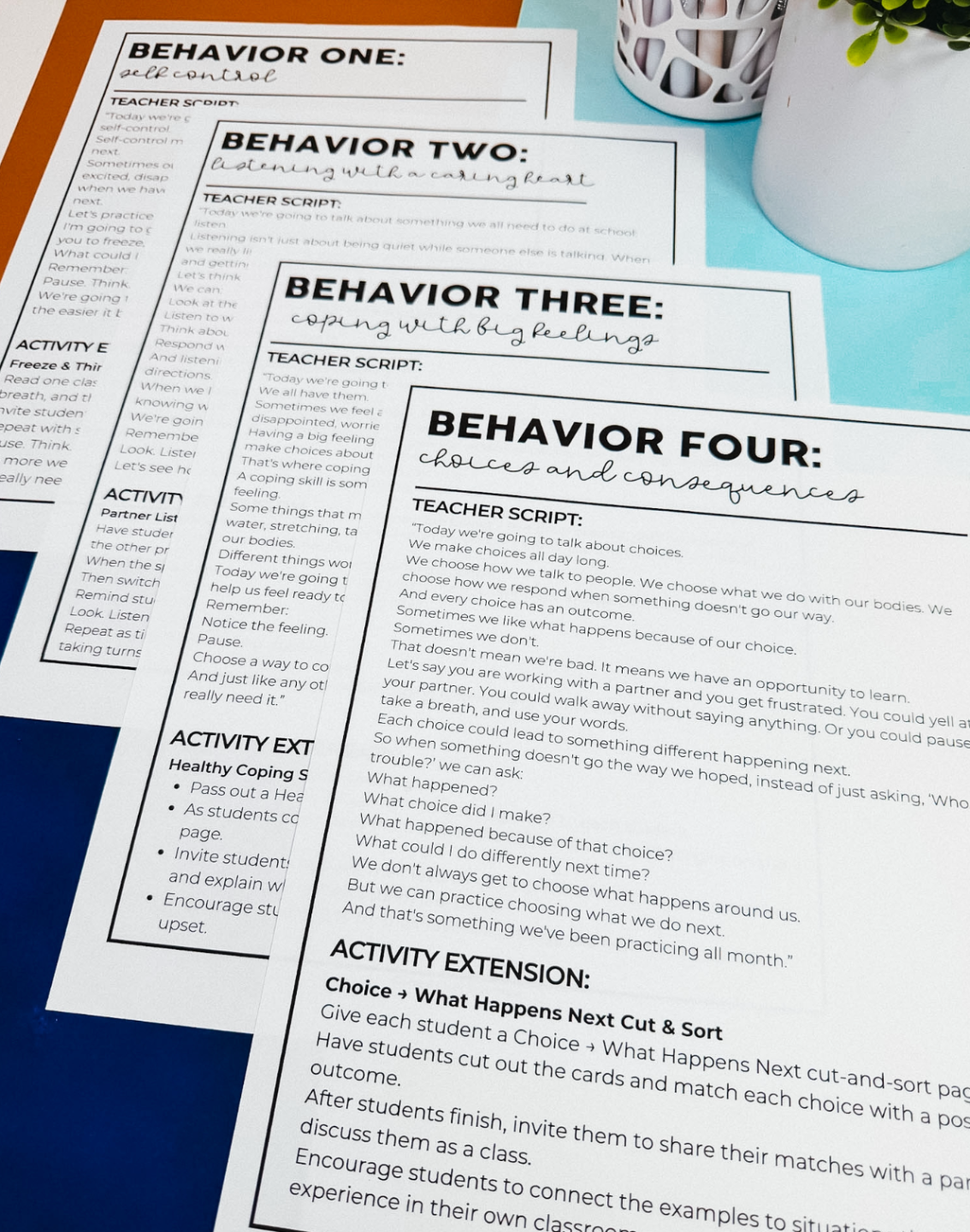 Behavior Bootcamp resource preview