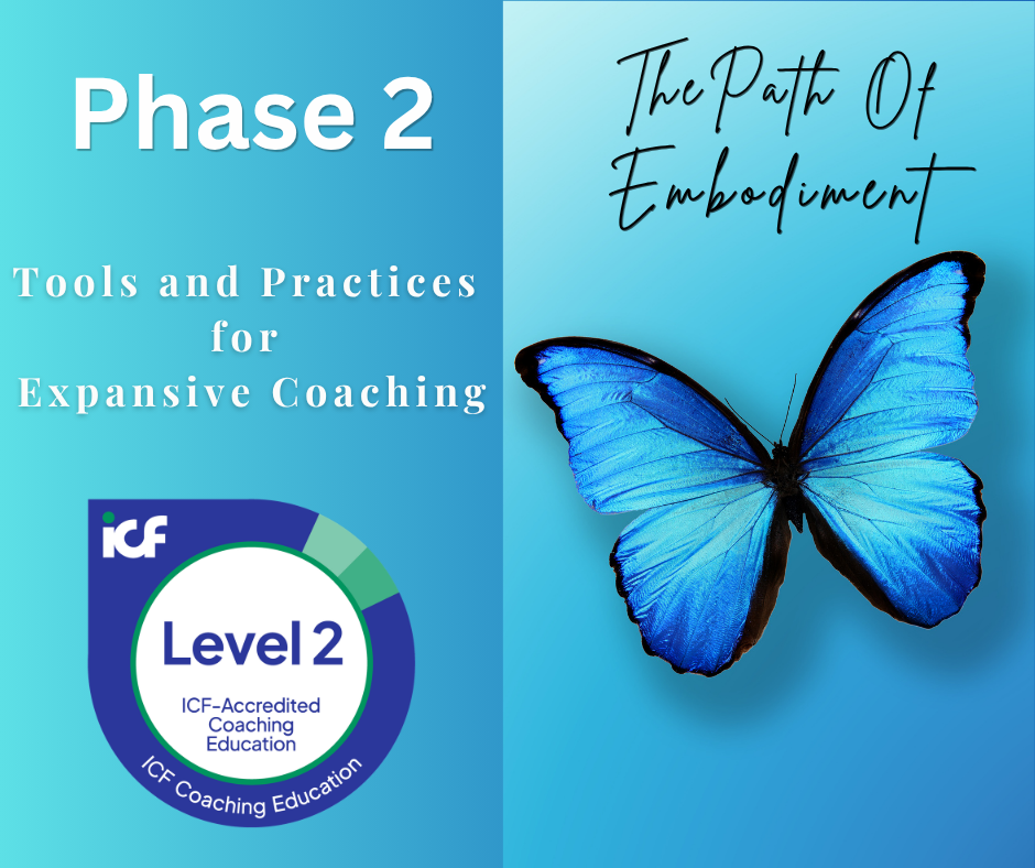 Phase 2: Elevate The Path of Embodiment